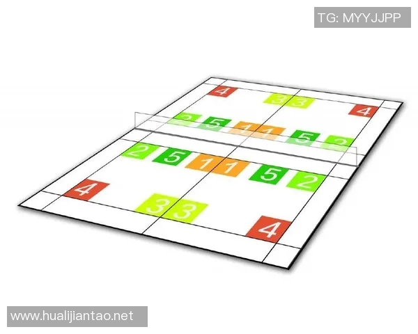 上海羽毛球队总决赛战术分析与表现评估探讨 上海羽毛球队总决赛战术分析与表现评估探讨