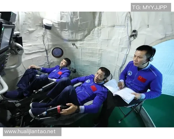 专访杨芳:探寻网球界的成功秘诀与背后故事 专访杨芳:探寻网球界的成功秘诀与背后故事