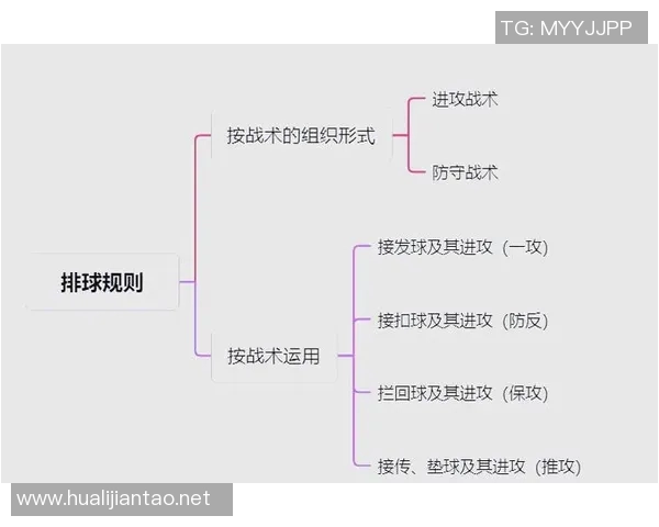 杭州排球队战术深度解析与实战应用探讨