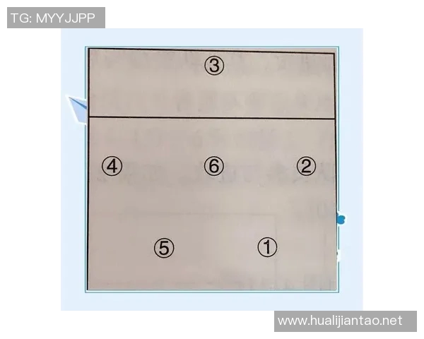 从零起步：全面解析排球团队协作技巧与实战策略